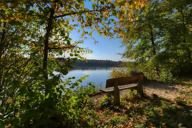 荷兰两个海外领地命运不同：库拉索晋级世界杯，阿鲁巴无缘