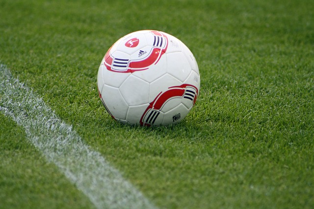 蒙特拉：很明显南美世预赛赛制中晋级比淘汰要容易得多