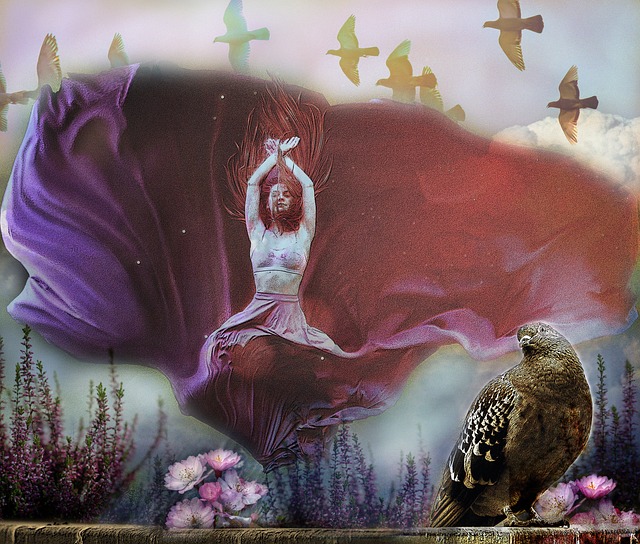 斯图尔特本赛季5次单场4+盖帽，追平文班&赫夫并列第一