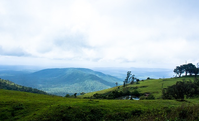 生能源的奥 生能源的奥
