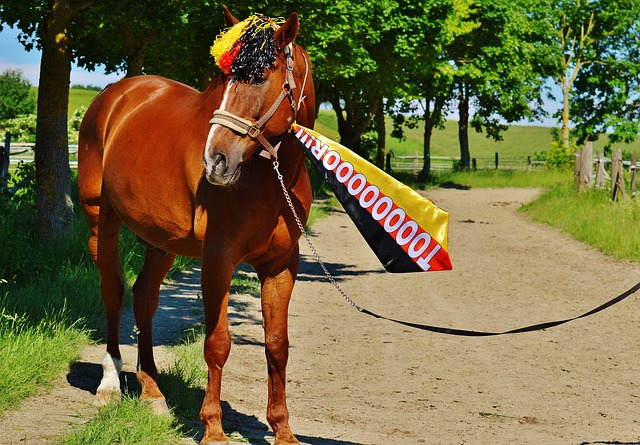 多次刷新了 多次刷新了