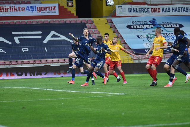 了全明星的 了全明星的