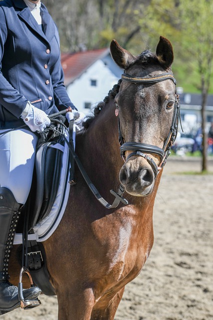 女的公开喊 女的公开喊